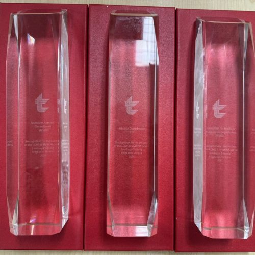 Crystal Trophy with 2D Inner Laser