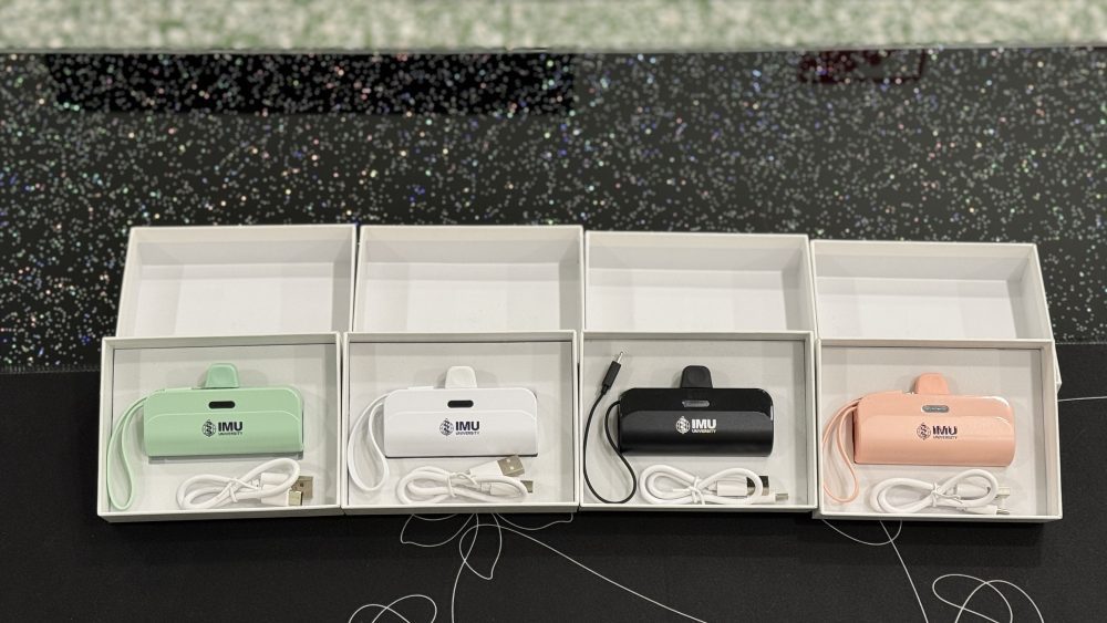 3,000mAh Mini Powerbank with Cable