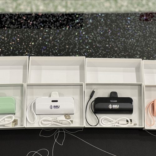 3,000mAh Mini Powerbank with Cable