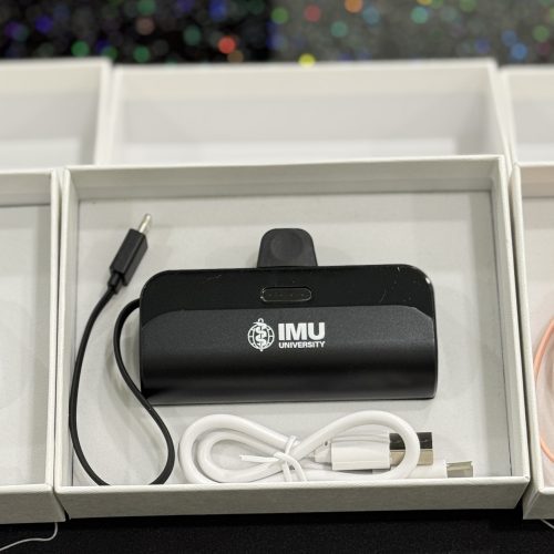 3,000mAh Mini Powerbank with Cable