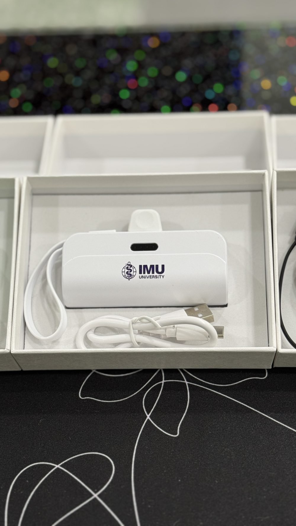 3,000mAh Mini Powerbank with Cable