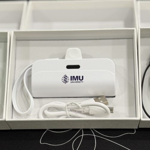 3,000mAh Mini Powerbank with Cable