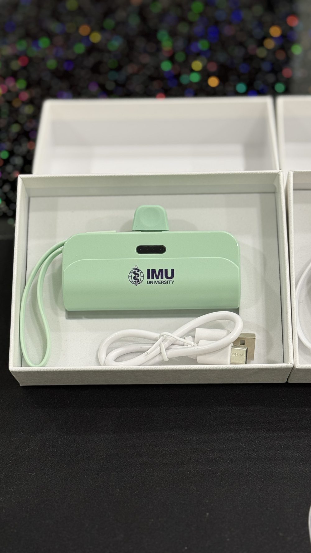 3,000mAh Mini Powerbank with Cable