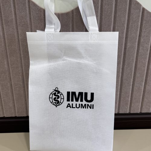 A4 Non-woven Bag