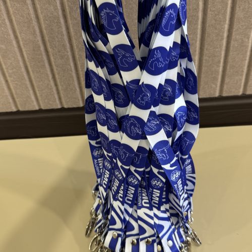 20mm Lanyard