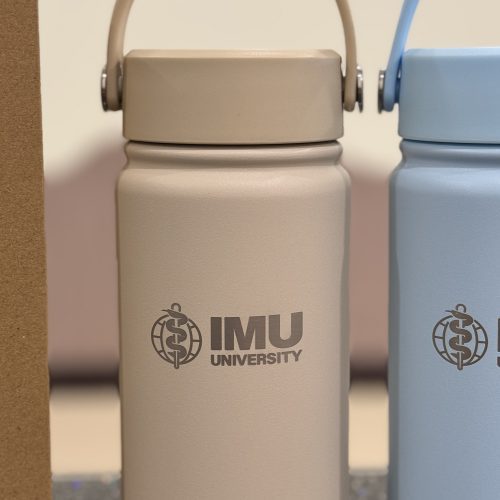 Double Wall Stainless Steel Fancy Bottle 350ml/ 600ml/ 1000ml/ 1150ml