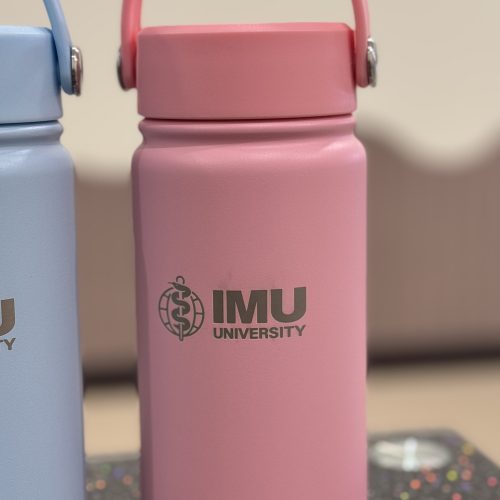Double Wall Stainless Steel Fancy Bottle 350ml/ 600ml/ 1000ml/ 1150ml